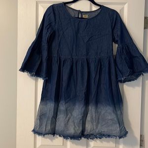 True Craft denim dress!